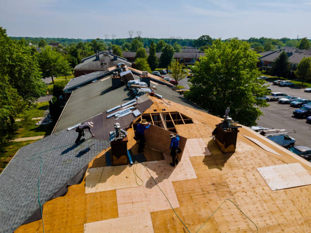 Trusted Metal Roofing service in Olmstead, KY - Brentwood Metal Roofing
